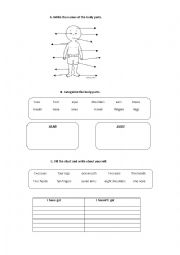 English Worksheet: Body Parts