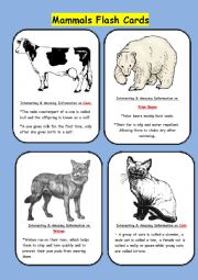 English Worksheet: Mammals Flash Cards