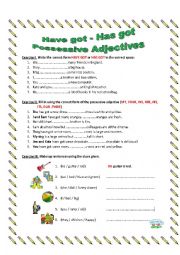 English Worksheet: HAVE GOT - POSSESSIVE ADJECTIVES