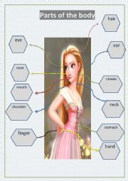 English Worksheet: parts of the body