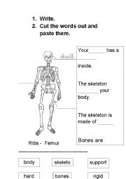 English Worksheet: The skeleton