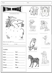 English Worksheet: Animals in the jungle