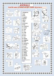 English Worksheet: Animals