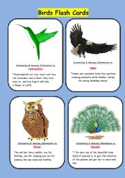 English Worksheet: BIRDS FLASH CARDS