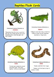 English Worksheet: Reptiles Flash Cards