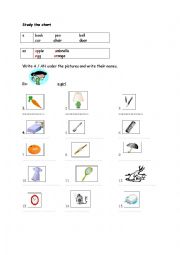 English Worksheet: a/an singular-plural