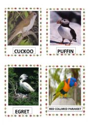 English Worksheet: BIRDS PART-7 DOC.