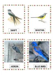 English Worksheet: Birds PART-8 DOC.