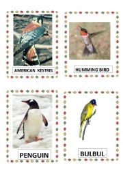 English Worksheet: BIRDS PART-9 DOC.