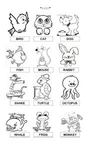 English Worksheet: Pets