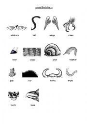 English Worksheet: Animal Body Parts 