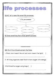 English Worksheet: life processes