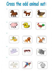English Worksheet: animals-cross the odd one out