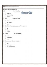 English Worksheet: Grammar Test