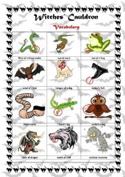 English Worksheet: Witches Cauldron/Vocabulary