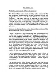 English Worksheet: Questions on The Almond Tree
