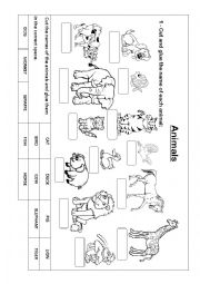 English Worksheet: Classify the animals