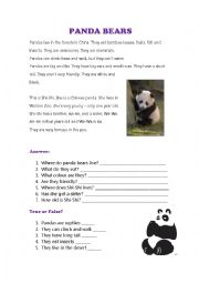 English Worksheet: Reading- Panda bears