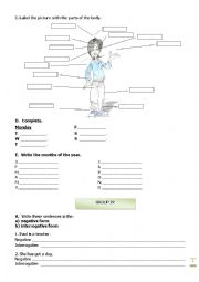 English Worksheet: Test:  6th Grade - Part II