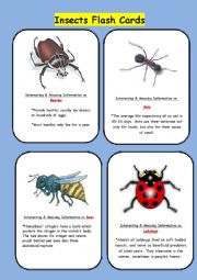 English Worksheet: Insect Flash Cards