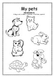 English Worksheet: My pets