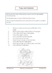 English Worksheet: Frogs and tadpoles