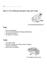 English Worksheet: Frog and Toad informational text