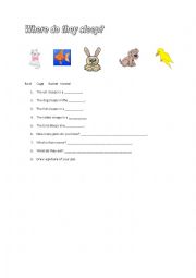 English Worksheet: Animals. Where do they sleep?