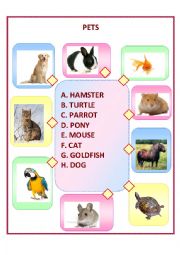 PETS WORKSHEET FOR CHILDREN