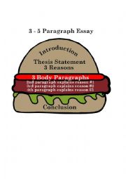 3-5 essay Hamburger Example