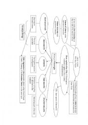 English Worksheet: New York