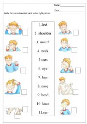 English Worksheet: parts of the body