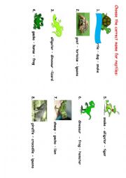 English Worksheet: reptiles