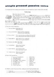 English Worksheet: simple present passive voice