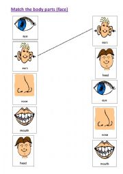 English Worksheet: Matching body parts - face