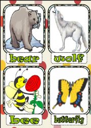 English Worksheet: animals flashcards