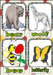 animals flashcards