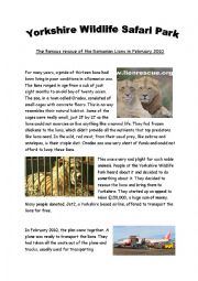 English Worksheet: Lion Rescue
