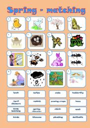 English Worksheet: SPRING matching