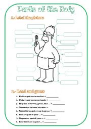 English Worksheet: Parts of the body