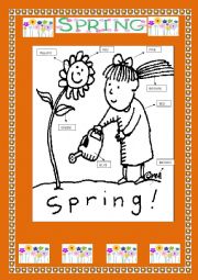 English Worksheet: SPRING