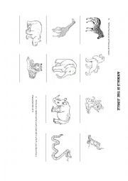 English Worksheet: Animals in the jungle