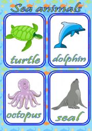 SEA ANIMALS FLASHCARDS - SET OF 12