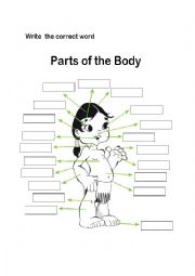 English Worksheet: parts of the body