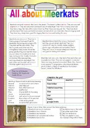 English Worksheet: All about Meerkats