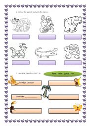 English Worksheet: wild animals