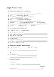 English Worksheet: Present Tense Practice Worksheet