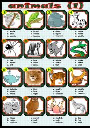 English Worksheet: animals (1)