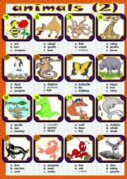 English Worksheet: animals (2)