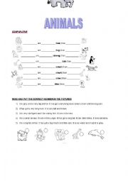English Worksheet: animals  -  comparative
